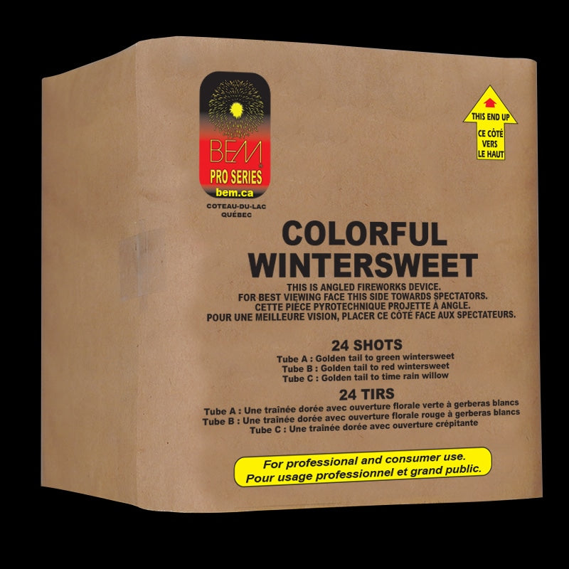 Colourful Wintersweet