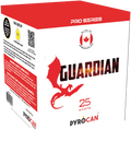 Guardian