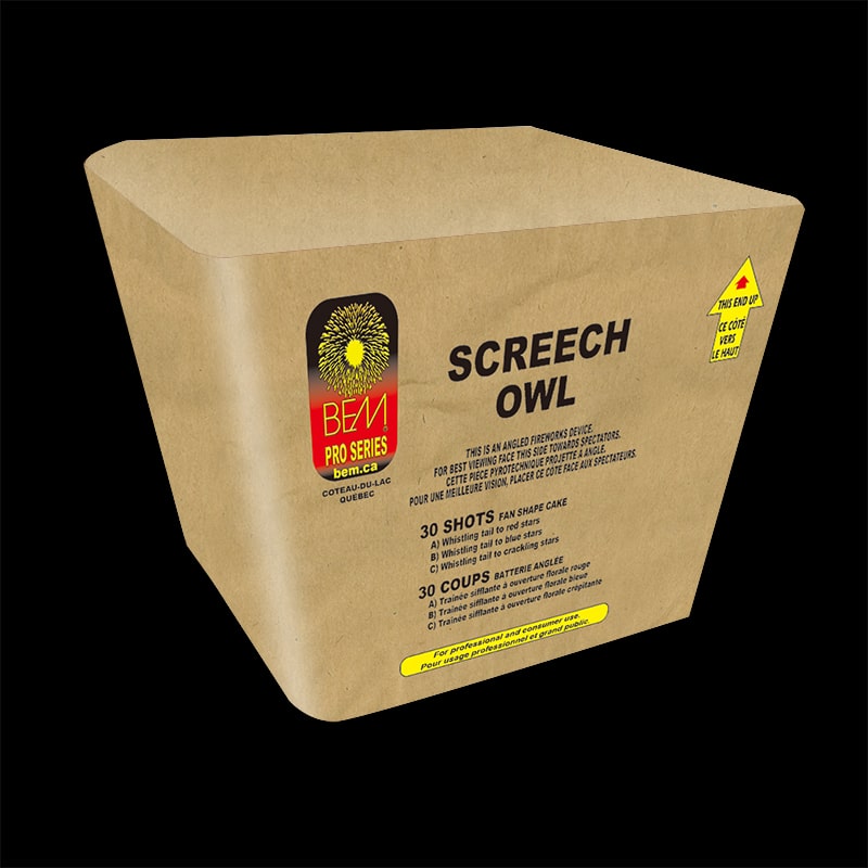 Screech Owl